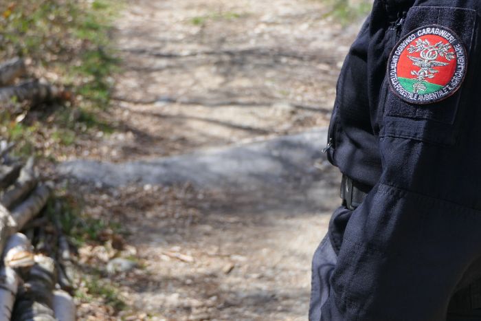 Sorpreso a bruciare arbusti: multato con 400 euro