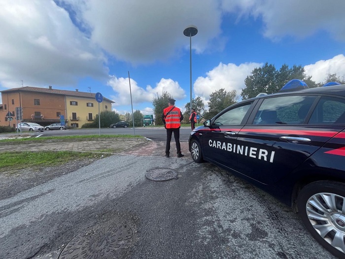 Cervo investito e ucciso da un'auto nel Biellese