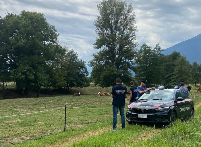 Controllate aziende agricola: sospesa una attività