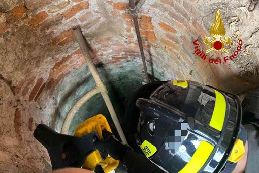 Gatto finito nel pozzo salvato dai vigili del fuoco