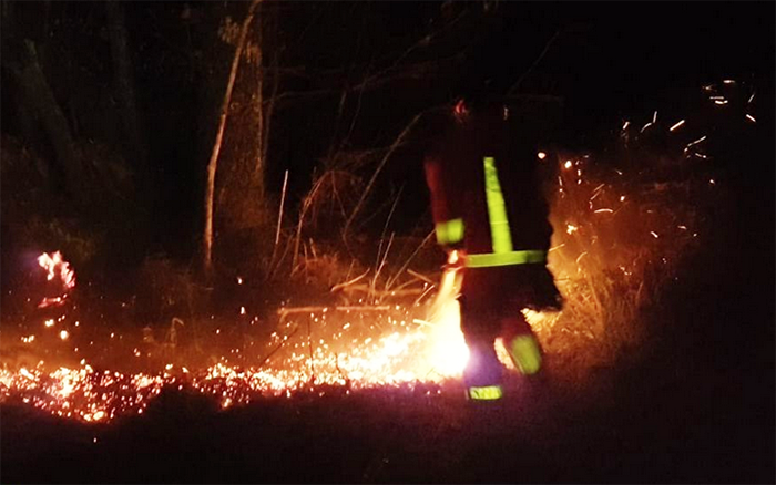 Incendio boschivo anche a Dissimo, vigili del fuoco su più fronti