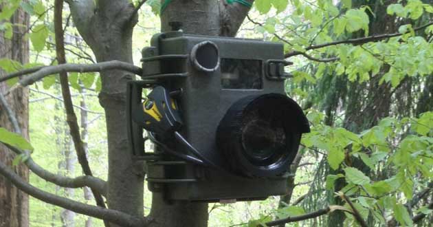 Arona, attivate fototrappole ambientali contro l'abbandono dei rifiuti