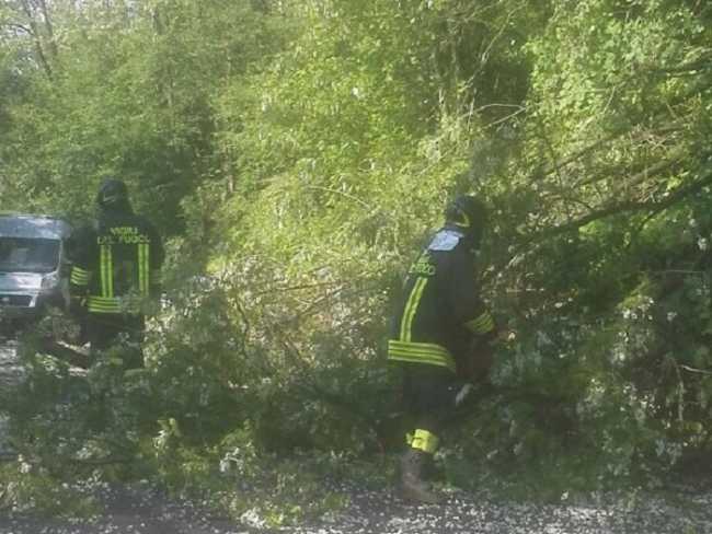 Forte temporale sul lago d'Orta, segnalata caduta di alberi