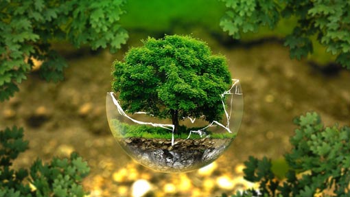 Casa della Carità, incontro "SOS terra: l'ecologia integrale di papa Francesco"