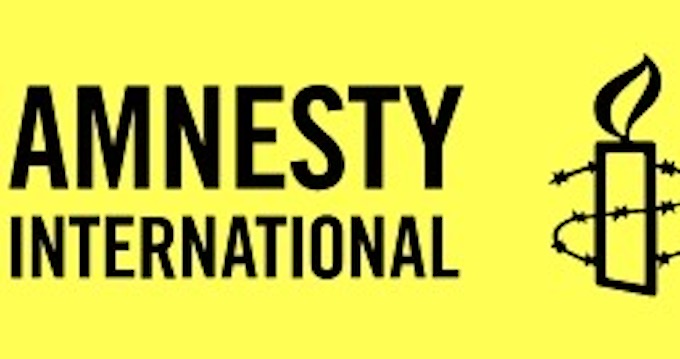 Amnesty, finti attivisti segnalati in azione a Novara e Vercelli