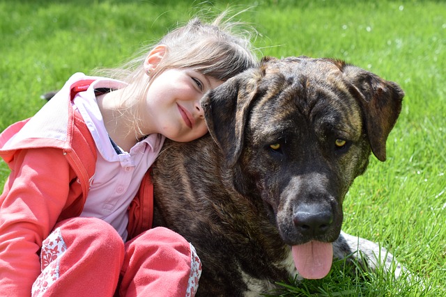 Cameri, laboratori gratuiti di avvicinamento al cane per bambini