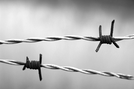 Giorno della Memoria, lunedì a Novara la cerimonia di commemorazione ufficiale