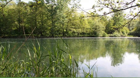 "Puliamo il parco !" il 27 marzo pulizia nell'area del Parco del Ticino