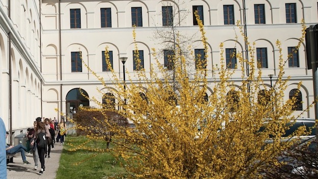 Novara, il 15 febbraio terzo incontro nazionale sul colangiocarcinoma