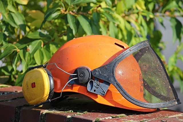 Le nuove offerte di lavoro dal Centro per l’Impiego