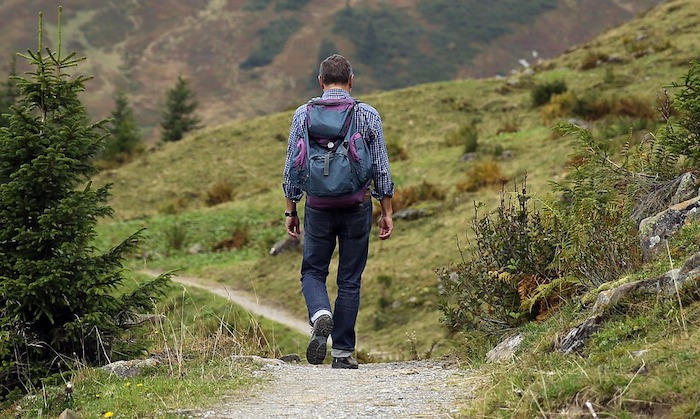 Auf den Spuren der Walser: Eine Reise durch Kultur, Geschichte und alpine Wege