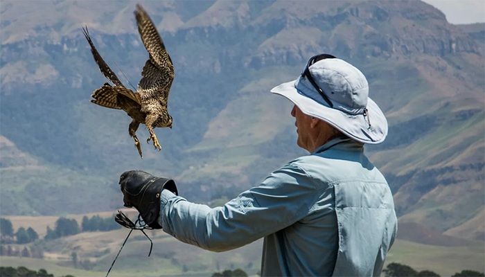 Al Lusentino i segreti della falconeria con diversi rapaci diurni e notturni