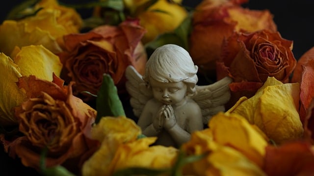 Death Café: spazi di dialogo sulla vita e sulla morte nel VCO