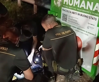 Quattro mici abbandonati nel cassone degli abiti usati: i pompieri ne salvano due
